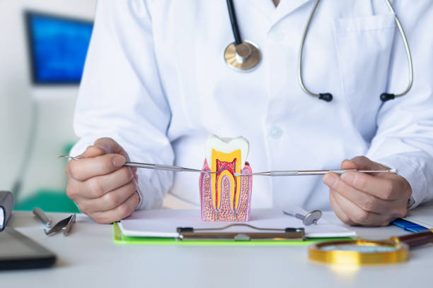 Best Emergency Wisdom Teeth Removal in Marianne, PA